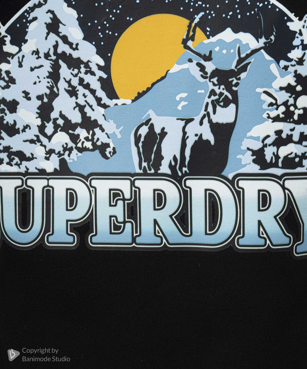 تیشرت زنانه سوپردرای Superdry کد W10A41603C