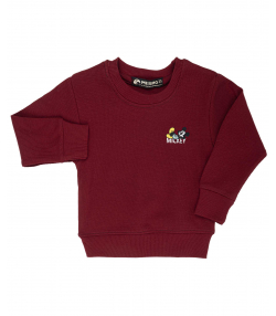 سویشرت پسرانه مرینو Merino کد 1503