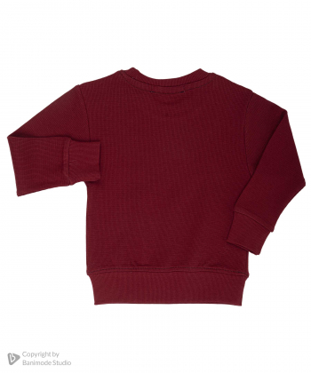 سویشرت پسرانه مرینو Merino کد 1503