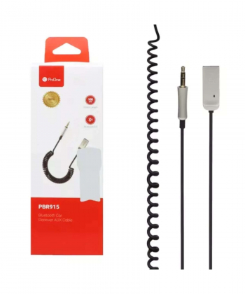 دانگل بلوتوثی ضبط ماشین پرووان PBR915