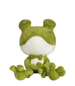 عروسک پولیشی قورباغه غمگین sad frog جوتی جینز JootiJeans