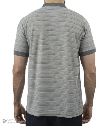 پولوشرت مردانه پیرکاردین PierreCardin کد TSHT50304075