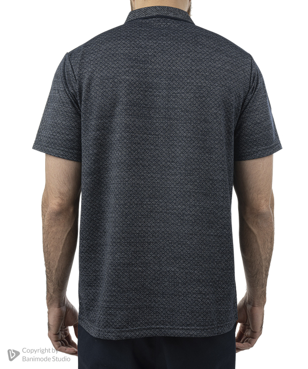 پولوشرت مردانه پیر کاردین Pierre Cardin کد TSH50212124