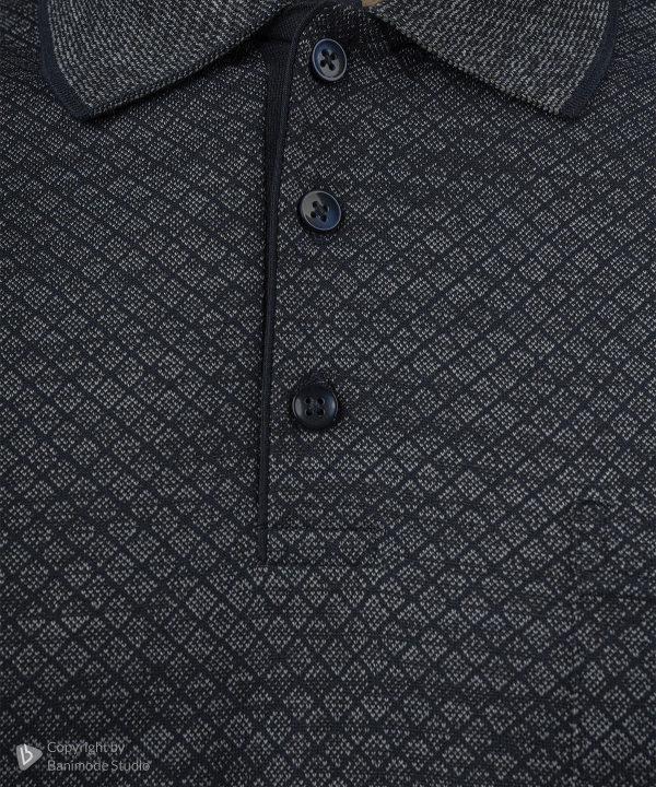 پولوشرت مردانه پیر کاردین Pierre Cardin کد TSH50212124