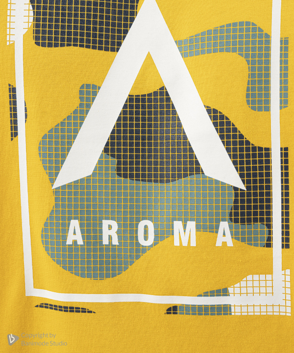 تیشرت مردانه آروما Aroma کد 1101406-04