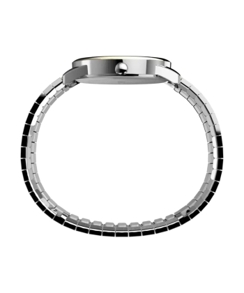 ساعت مچی مردانه تایمکس Timex مدل TW2V05600
