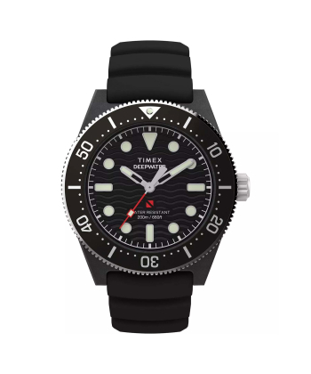 ساعت مچی مردانه تایمکس Timex مدل TW2Y02200