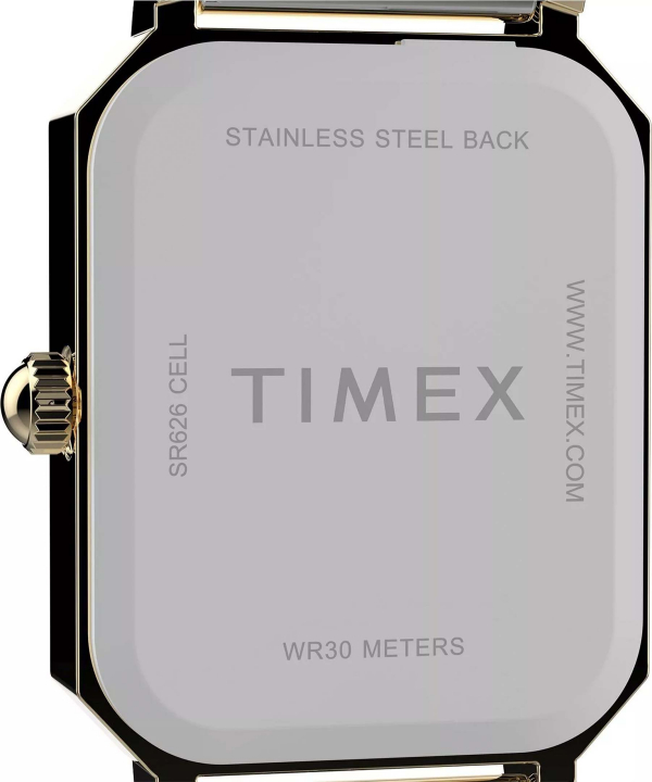 ساعت مچی زنانه تایمکس Timex مدل TW2Y01300