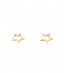 گوشواره طلا ستاره پرسته Parasteh کد 536710