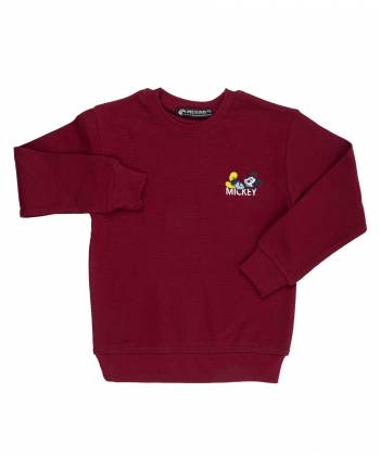 تیشرت آستین بلند پسرانه مرینو مدل 1504