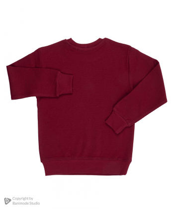 تیشرت آستین بلند پسرانه مرینو مدل 1504