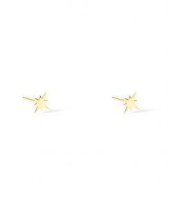 گوشواره طلا ستاره استر پرسته Parasteh کد 532065