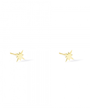 گوشواره طلا ستاره استر پرسته Parasteh کد 532065