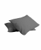 فیلی