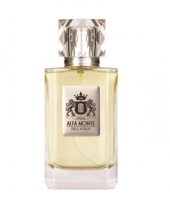 ادوپرفیوم مردانه آلفا مونته Alfa Monte مدل Dell Acqua حجم 100 میلی لیتر