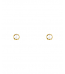 گوشواره میخی دُرنگار ریز درریس Doris کد P5952