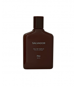 ادوپرفیوم مردانه مدرن پینک ویژوال Pink Visual مدل Salvador حجم 100میلی لیتر