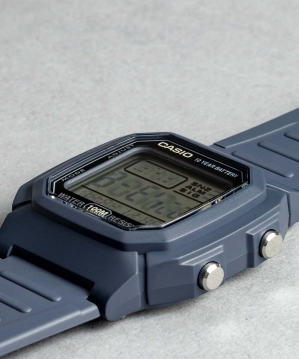 ساعت مچی کاسیو Casio مدل W-800H-2AVDF