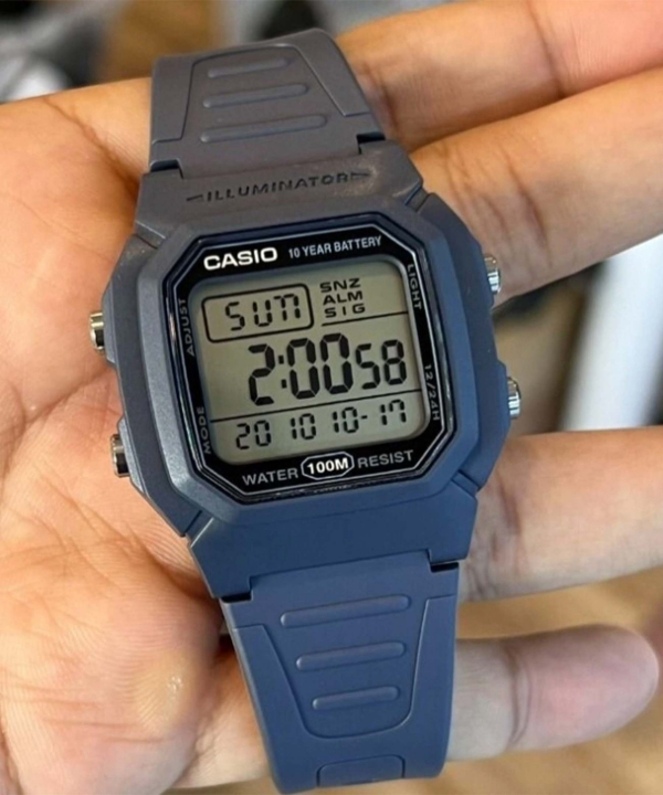 ساعت مچی کاسیو Casio مدل W-800H-2AVDF