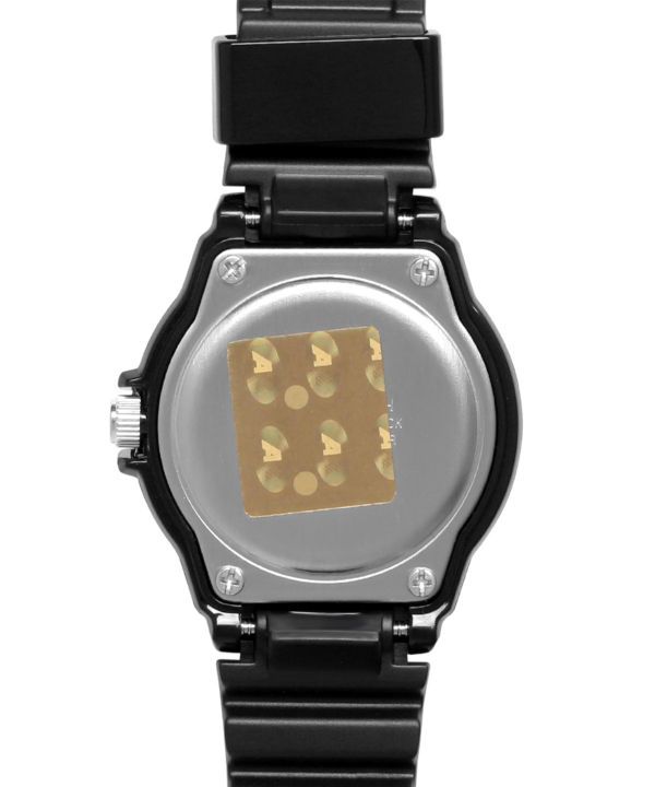 ساعت مچی زنانه کاسیو Casio مدل LRW-200H-2EVDR