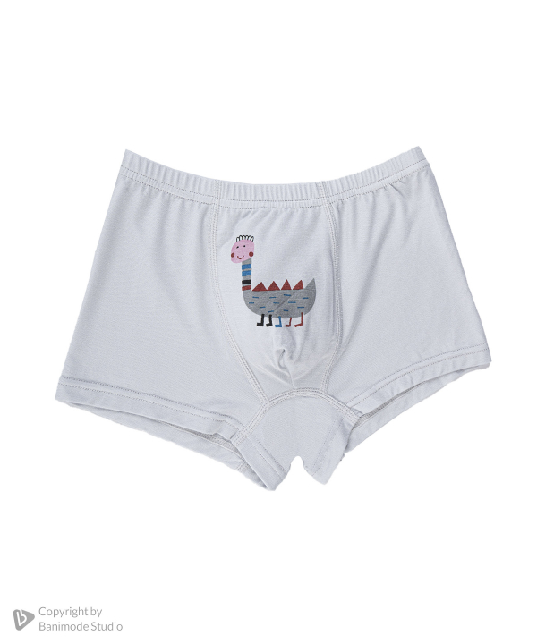 شورت  پسرانه جین وست مدل 44C98982 بسته 2 عددی