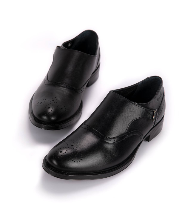 کفش چرم مردانه دنیلی Daniellee مدل Abtin Slipon Buckled
