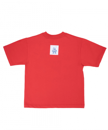 تیشرت پسرانه یو اس پولو کیدز US Polo Kids کد 2322C3