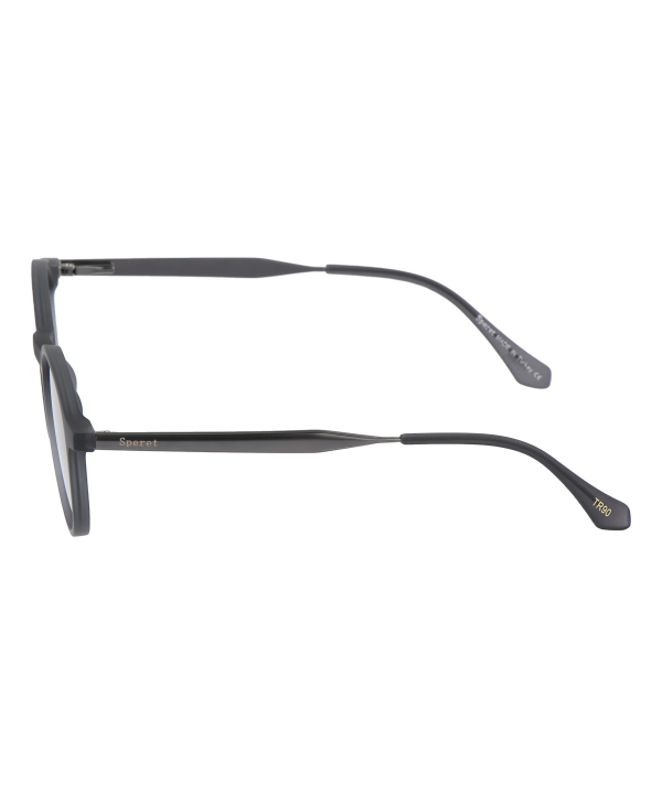 عینک آفتابی ایسپرت مدل TR6832