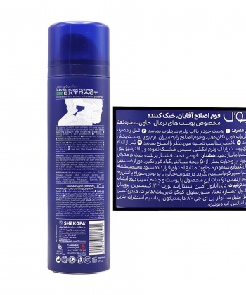 فوم اصلاح صورت آقایان بیول BIOˊL سری Me مدل 2in1 Mint حجم 200 میلی لیتر