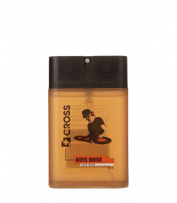 عطر جیبی مردانه کراس Cross مدل Boys Noise حجم 45 میلی لیتر