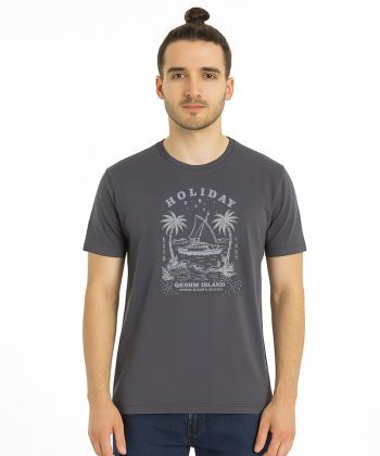 تیشرت آستین کوتاه مردانه هالیدی مدل D10404