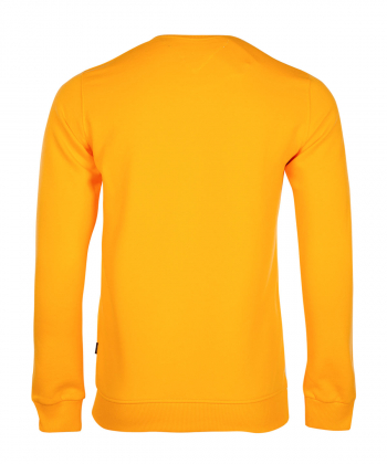 سویشرت مردانه جامه پوش آرا JPA کد 4561019010