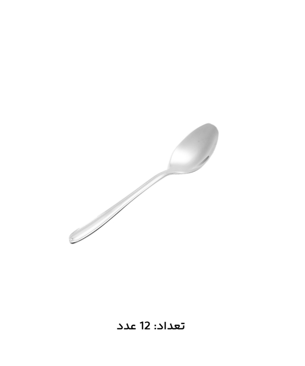سرويس قاشق و چنگال 147 پارچه ام جي اس مدل 1016Mcs