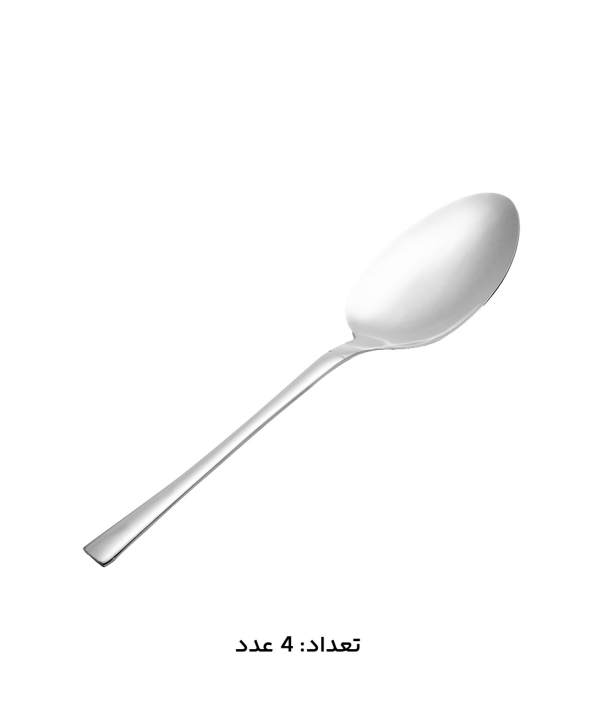 سرويس قاشق و چنگال 147 پارچه ام جي اس مدل 1010Mcs