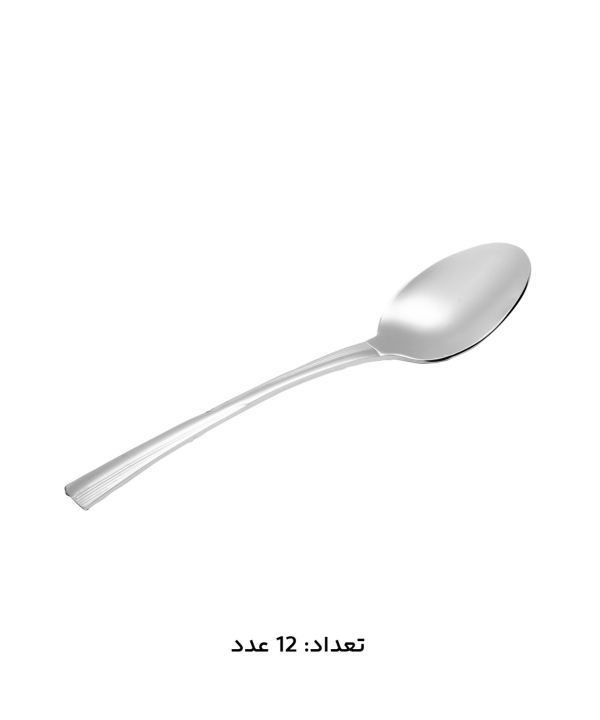 سرويس قاشق و چنگال 147 پارچه ام جي اس مدل 1011Mcs