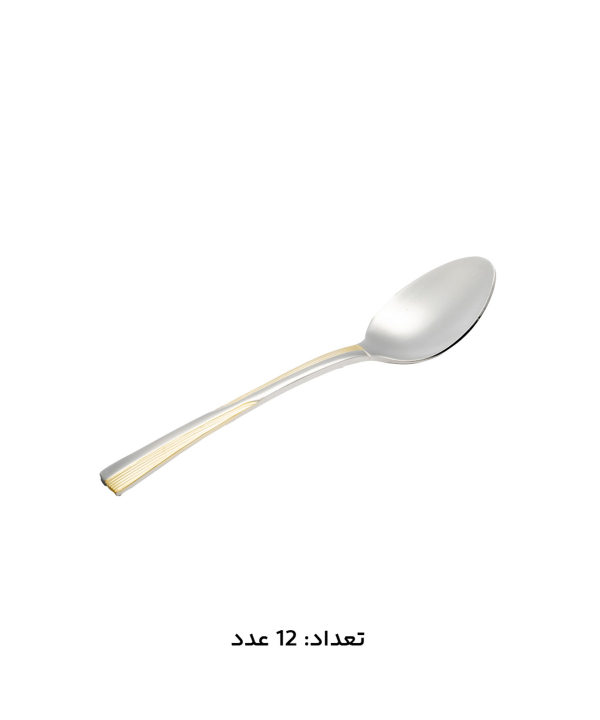 سرويس قاشق و چنگال 147 پارچه ام جي اس مدل 1011G