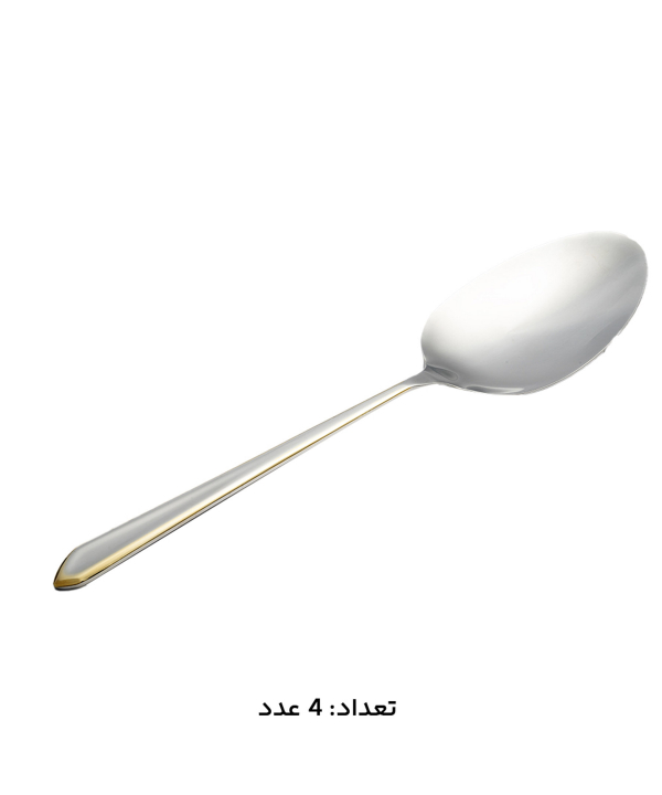 سرويس قاشق و چنگال 147 پارچه ام جي اس مدل 1014G