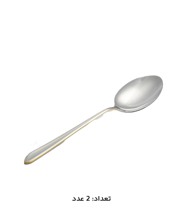 سرويس قاشق و چنگال 147 پارچه ام جي اس مدل 1014G