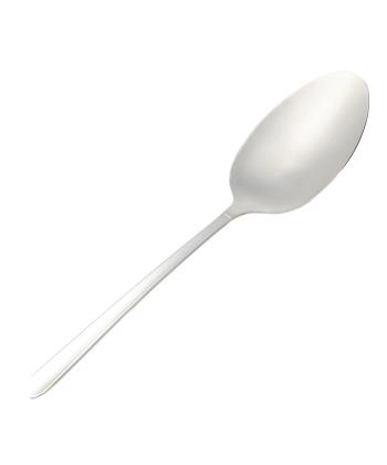 کفگیر بزرگ استیل ام جی اس MGS کد DF008-1