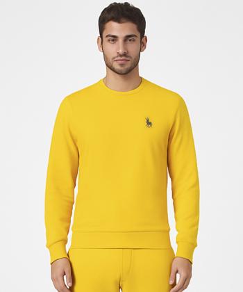 دورس مردانه آروما کد 12501001