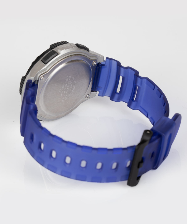 ساعت مچی کاسیو Casio مدل WS-1100H-2AVDF