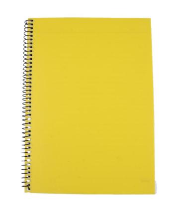 دفتر مشق بزرگ سیمی 100 برگ چیترا کد 60000