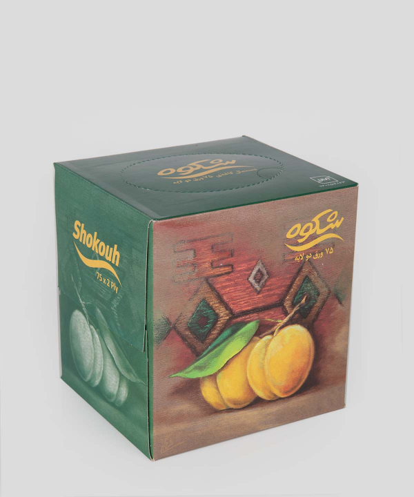 دستمال کاغذی 75 برگ شکوه Shokouh