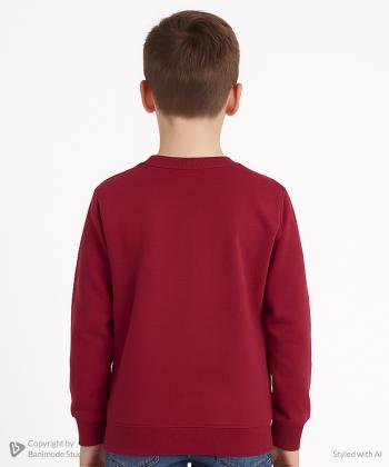 سویشرت پسرانه مندوست کد 103100