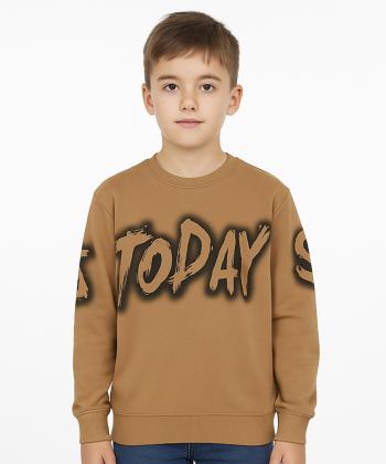 سویشرت نخی پسرانه مندوست مدل 102600