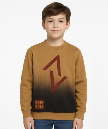 سویشرت پسرانه مندوست کد 103100