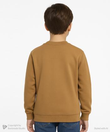 سویشرت پسرانه مندوست کد 103100