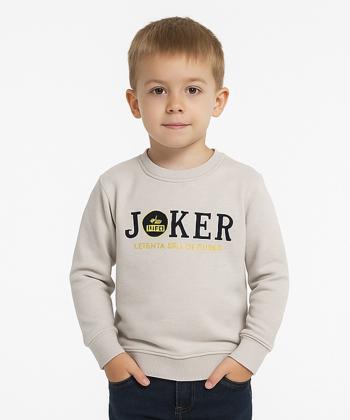 سویشرت پسرانه مندوست کد 113000