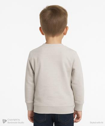 سویشرت پسرانه مندوست کد 113000