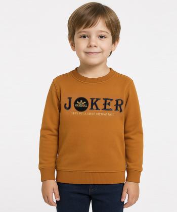 سویشرت پسرانه مندوست کد 113000